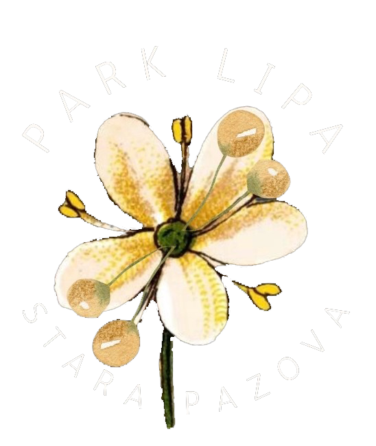Park Lipa
